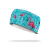 Lithe Flamingo Headband 1 Lithe Flamingo Headband -Cycling Accessories Shop H0001 lithe FLAMINGO headband 1024x1024 result