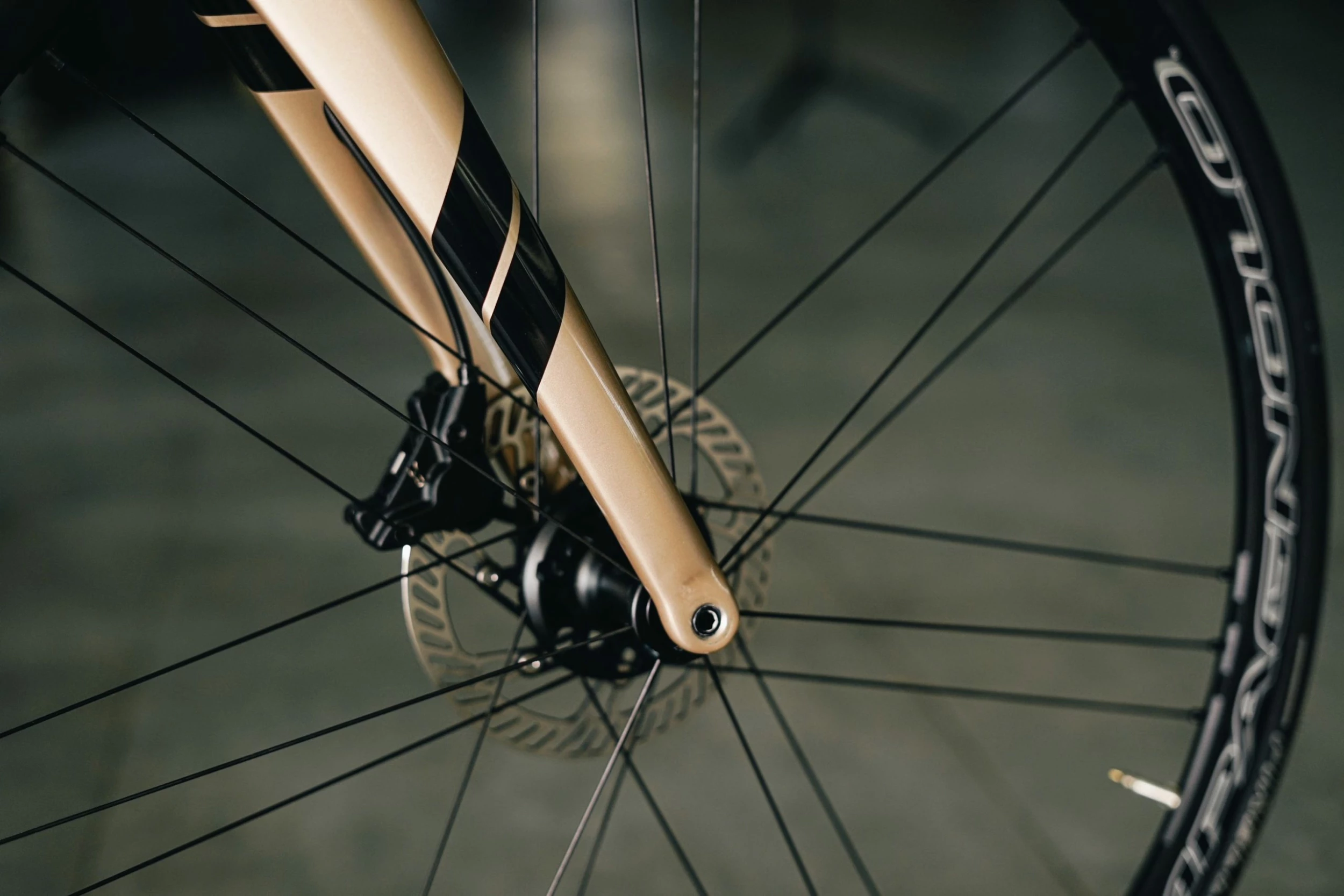 Cinelli Nemo Tig Road Bike Campagnolo Chorus - Champagne 12 Cinelli Nemo Tig Road Bike Campagnolo Chorus - Champagne - Image 10