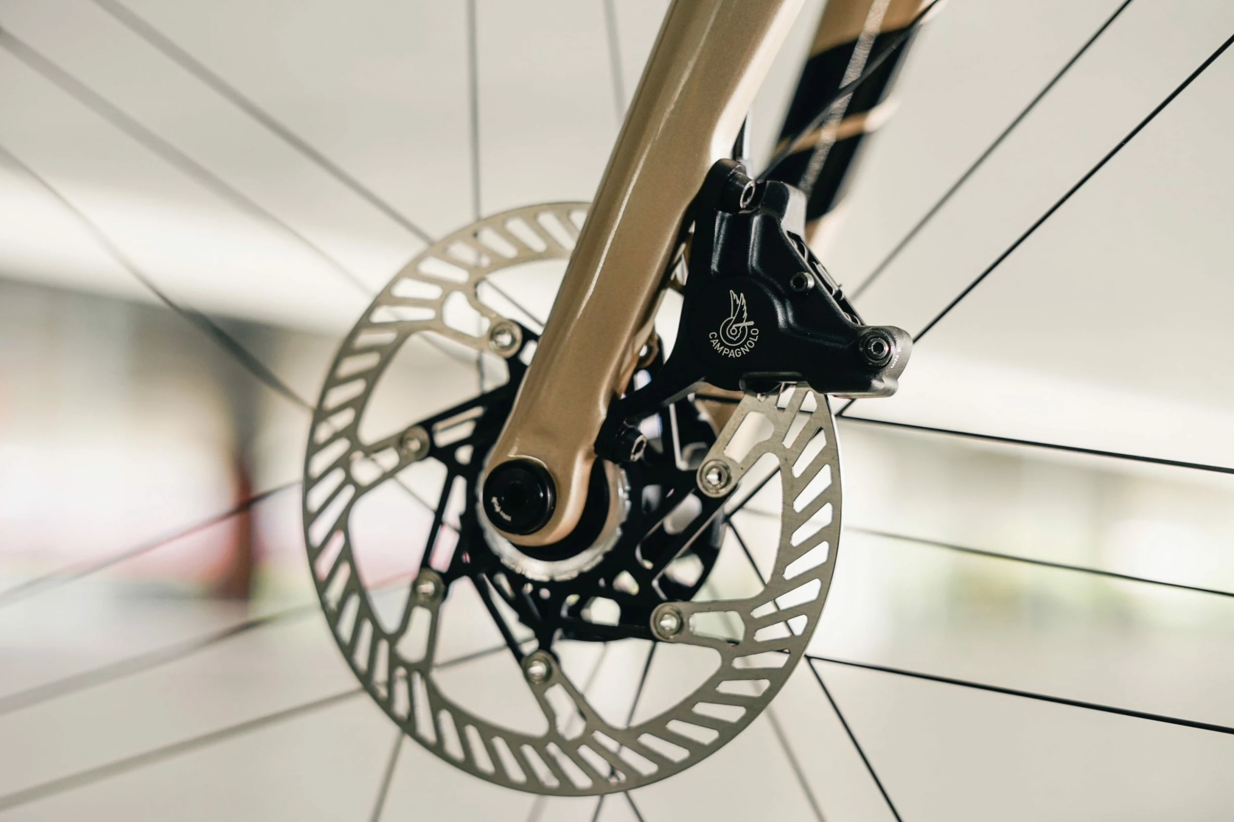 Cinelli Nemo Tig Road Bike Campagnolo Chorus - Champagne 13 Cinelli Nemo Tig Road Bike Campagnolo Chorus - Champagne - Image 11