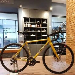 Tommasini Fire Road Disc Bike With Shimano Ultegra - Golden Yellow
