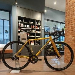 Tommasini Fire Road Disc Bike With Campagnolo Chorus - Golden Yellow